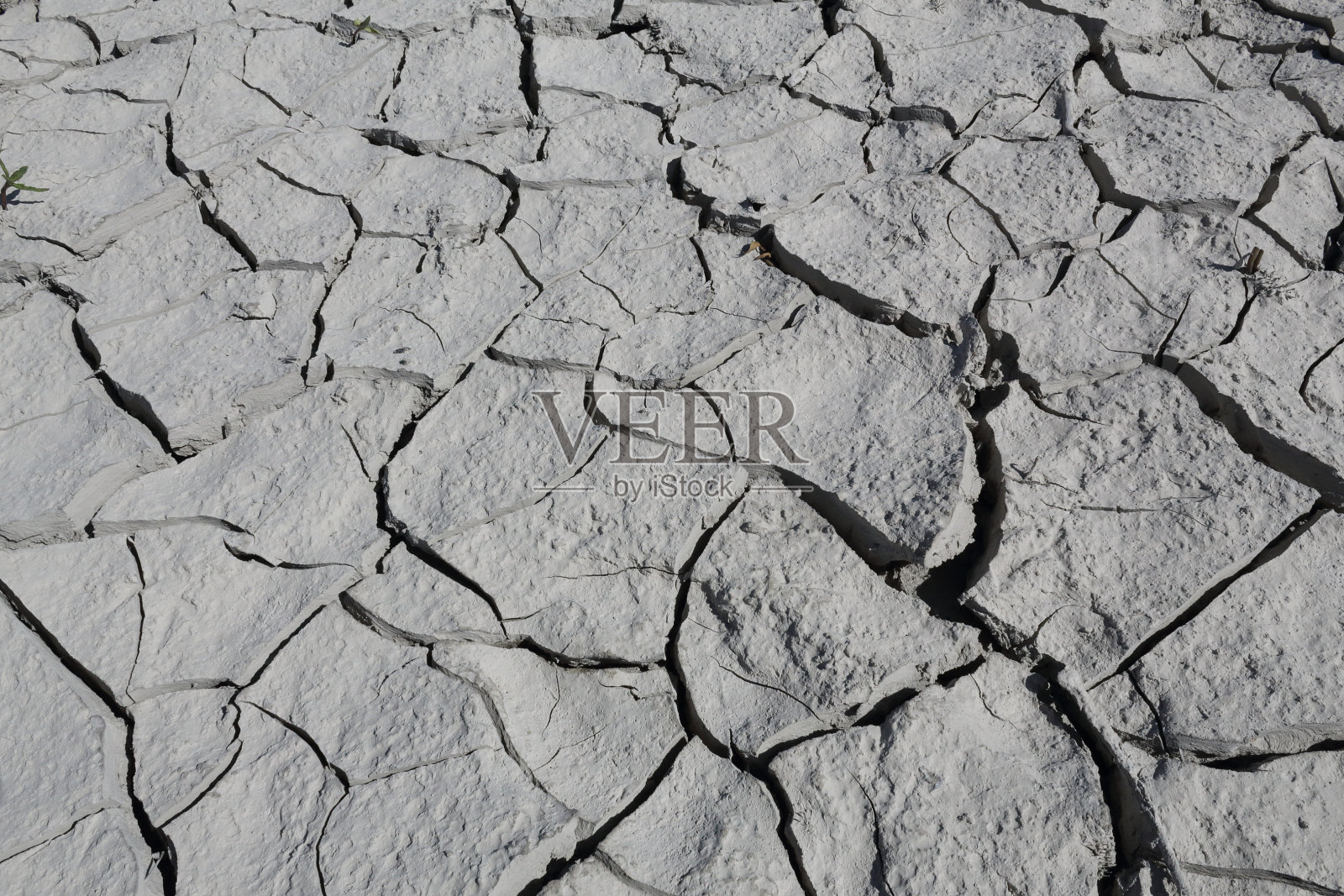在一个炎热的阳光明媚的日子里，在西班牙阿拉贡比利牛斯山的米迪亚诺人工湖中，一个干燥龟裂的灰色粘土的特写照片摄影图片
