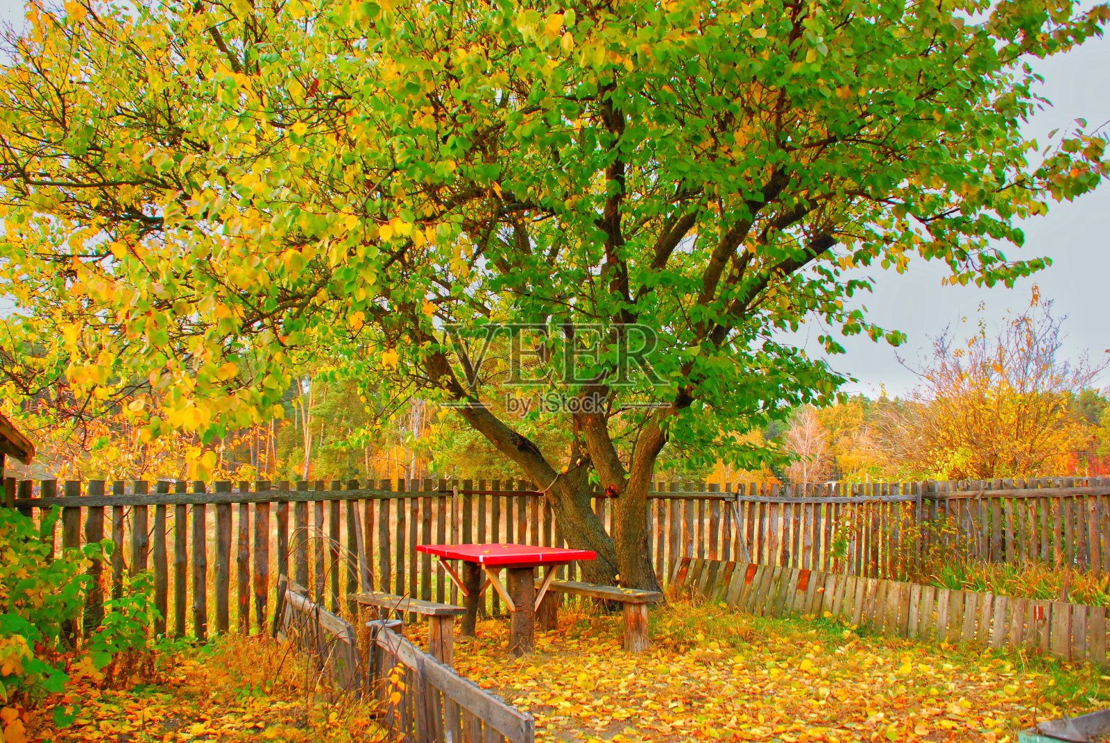 丰富多彩的秋天的风景照片摄影图片