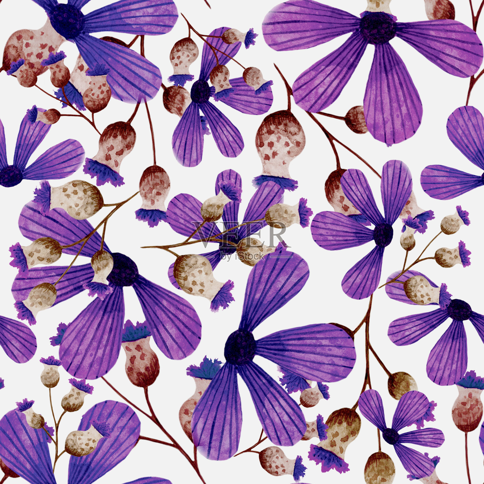用水彩在白色上画的紫罗兰花插画图片素材