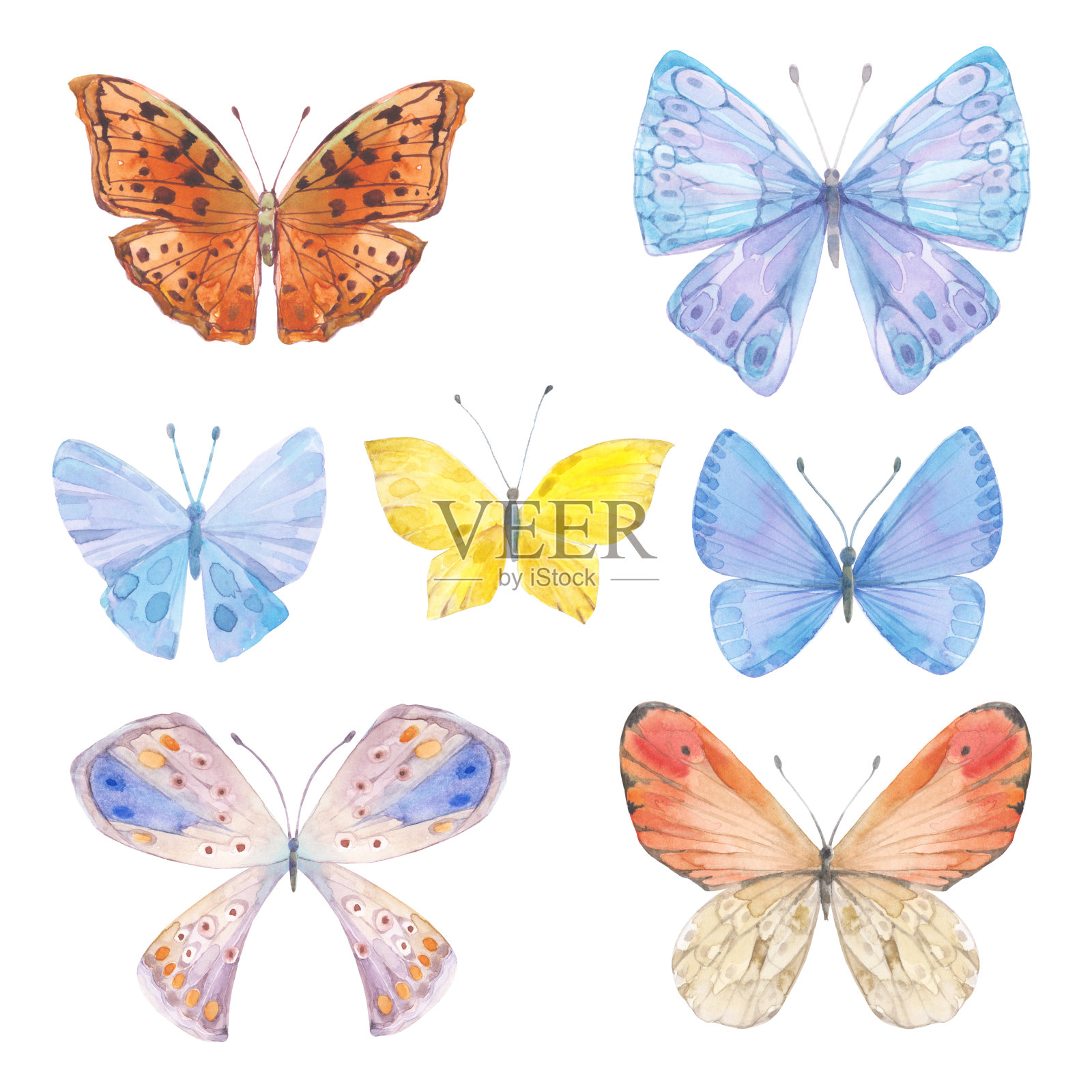蝴蝶。手绘水彩插图上的白色背景。用于设计的孤立元素的集合。设计元素图片