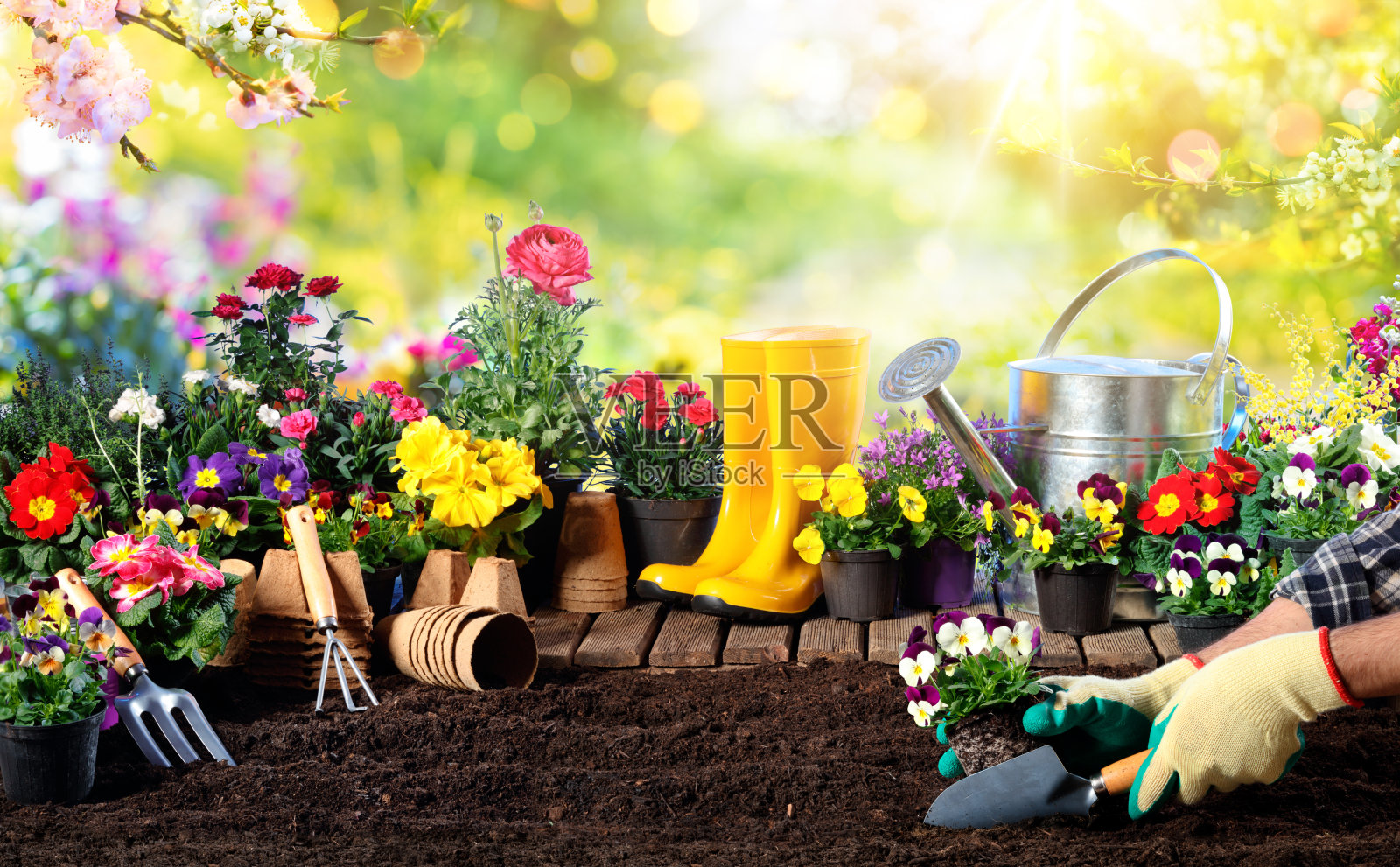 园艺-设备的园丁和花盆在阳光花园照片摄影图片