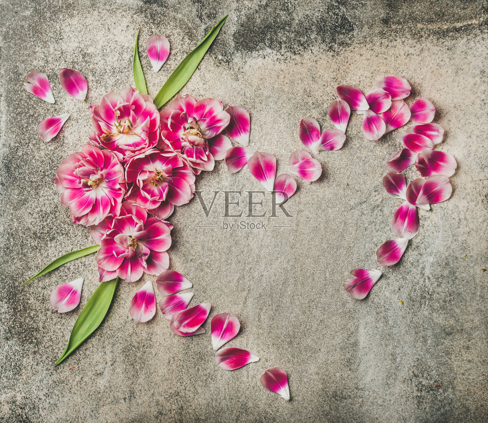 粉色郁金香花瓣做成的心形框架照片摄影图片