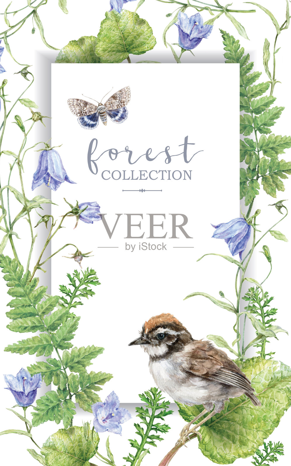 水彩框架与森林植物和鸟类插画图片素材