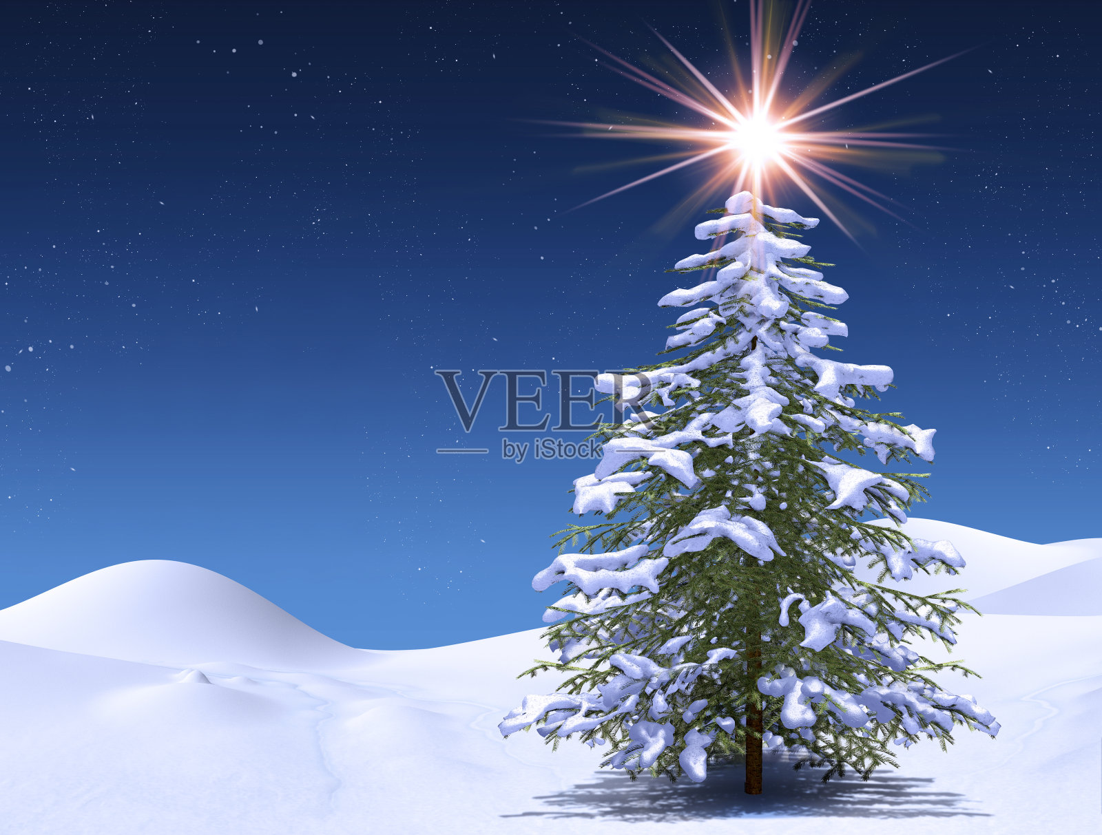 冬天的树在一个神奇的圣诞，星空寒冷的夜晚照片摄影图片