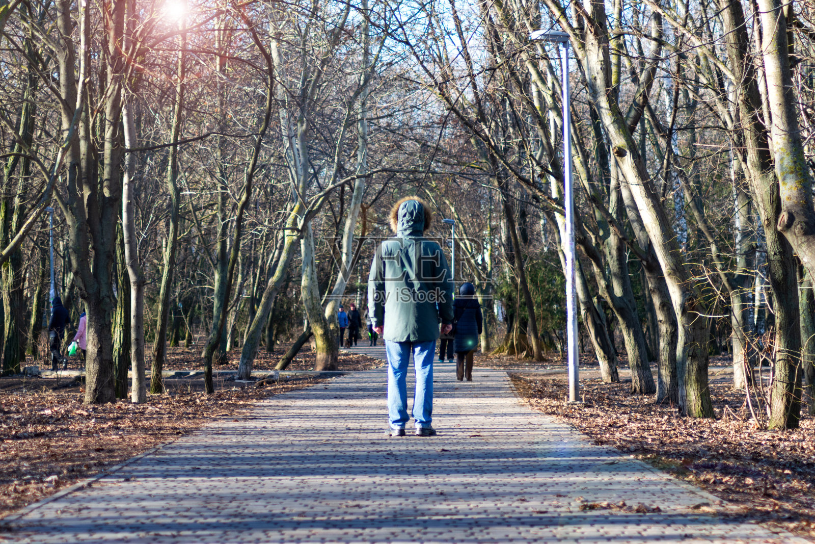 那个年轻人正在公园里散步。一个穿着夹克和兜帽的年轻人的剪影在公园的背景上照片摄影图片