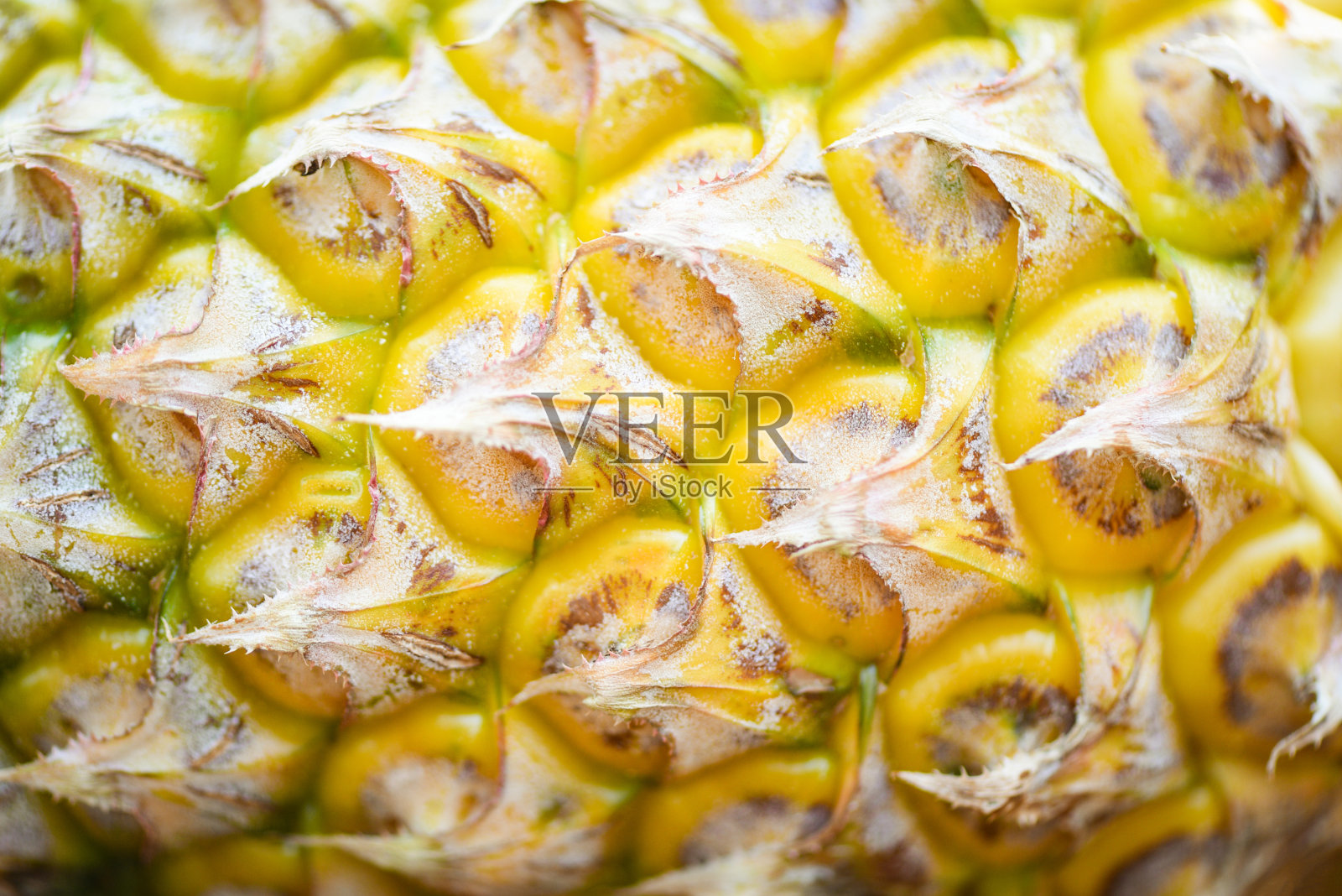 近距离的菠萝水果/纹理菠萝皮背景照片摄影图片