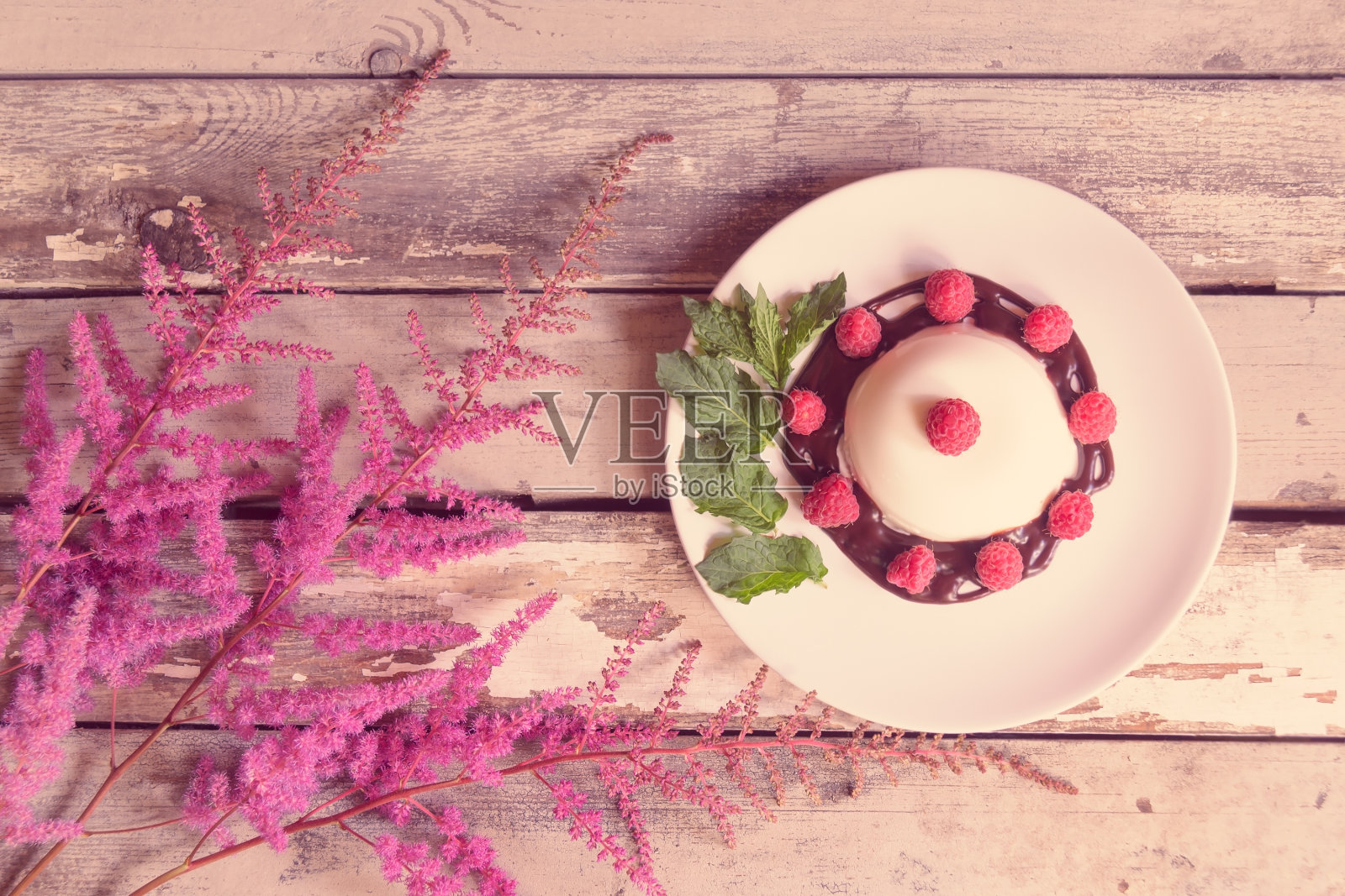 自制意式奶冻配上覆盆子和巧克力糖浆，在陈年的木质背景上点缀着粉红色的落新凤花。照片摄影图片