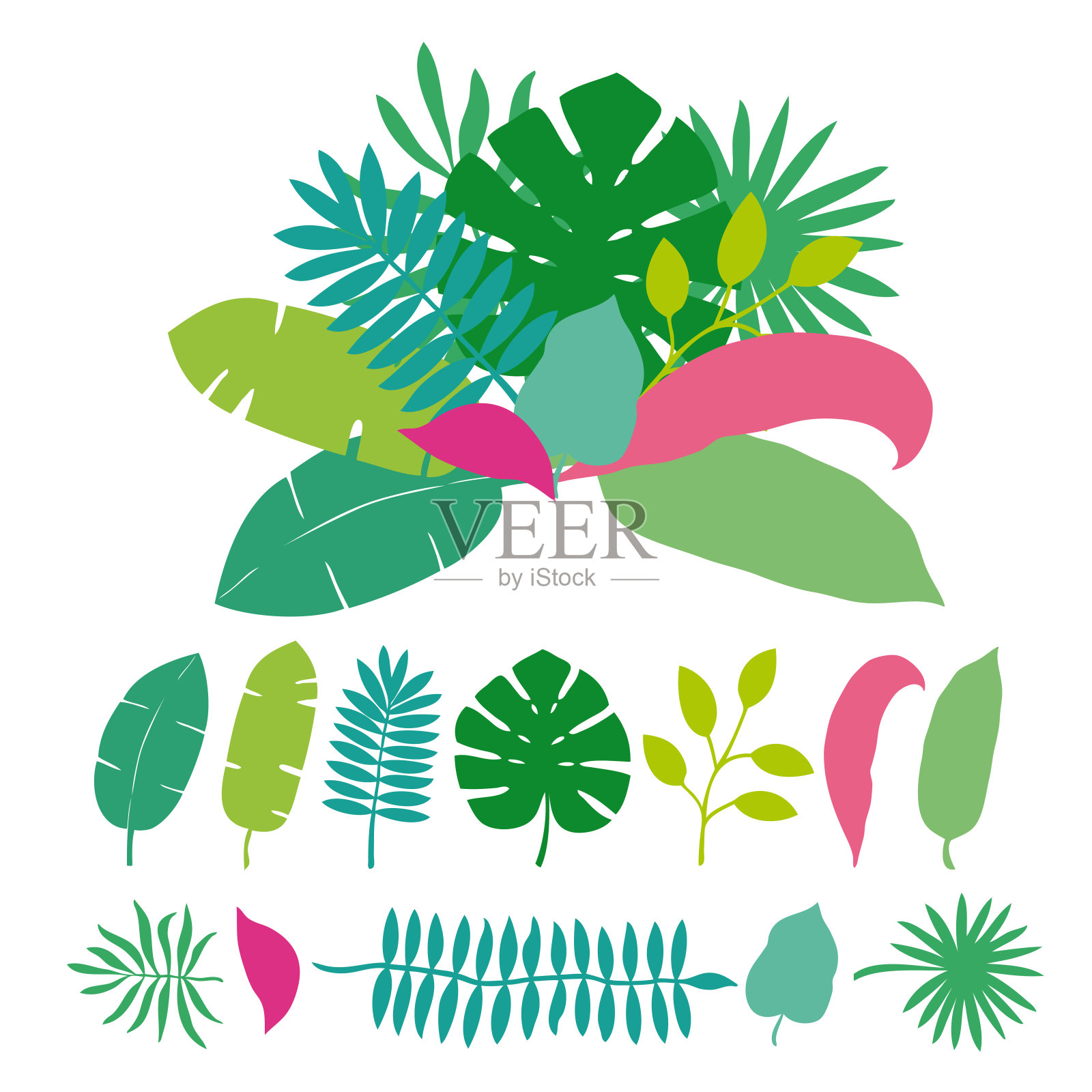 一束热带树叶，棕榈树，树木。插画图片素材