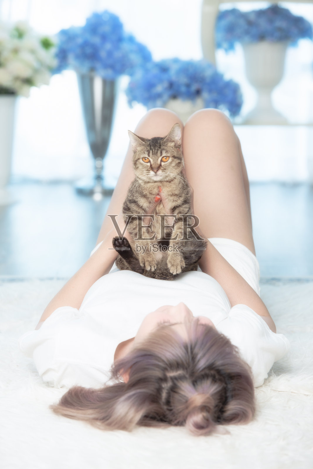 可爱的年轻的猫坐在女士的胸部，看相机，宠物或猫爱人的概念。照片摄影图片