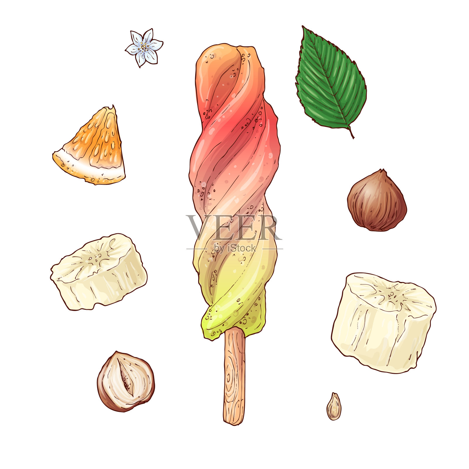 冰淇淋香蕉橘子坚果。手绘。矢量图插画图片素材