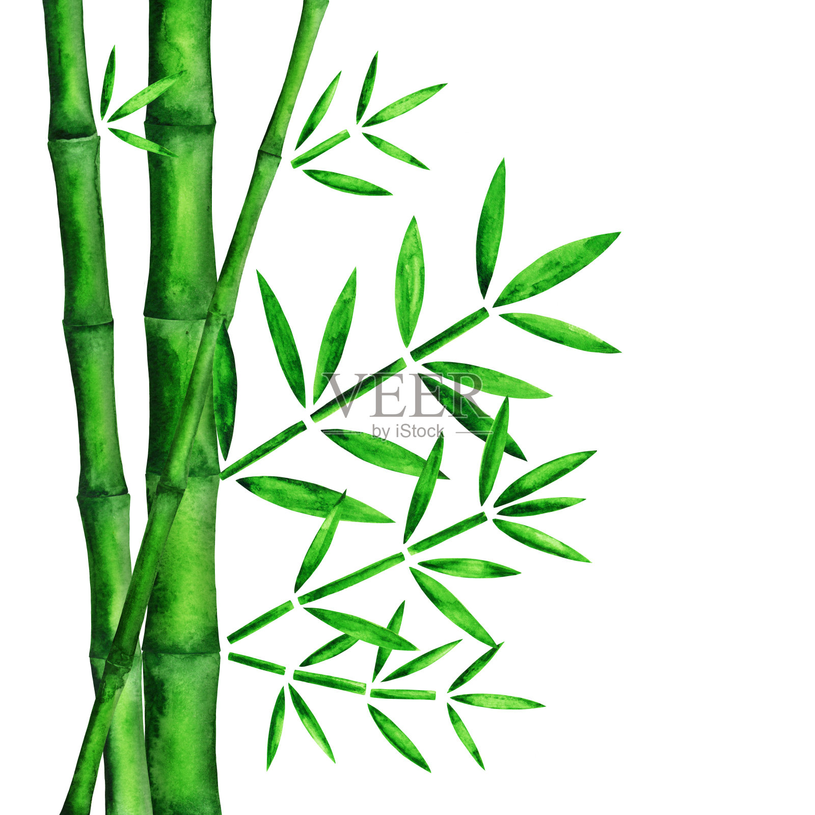 水彩绿竹树设计元素图片