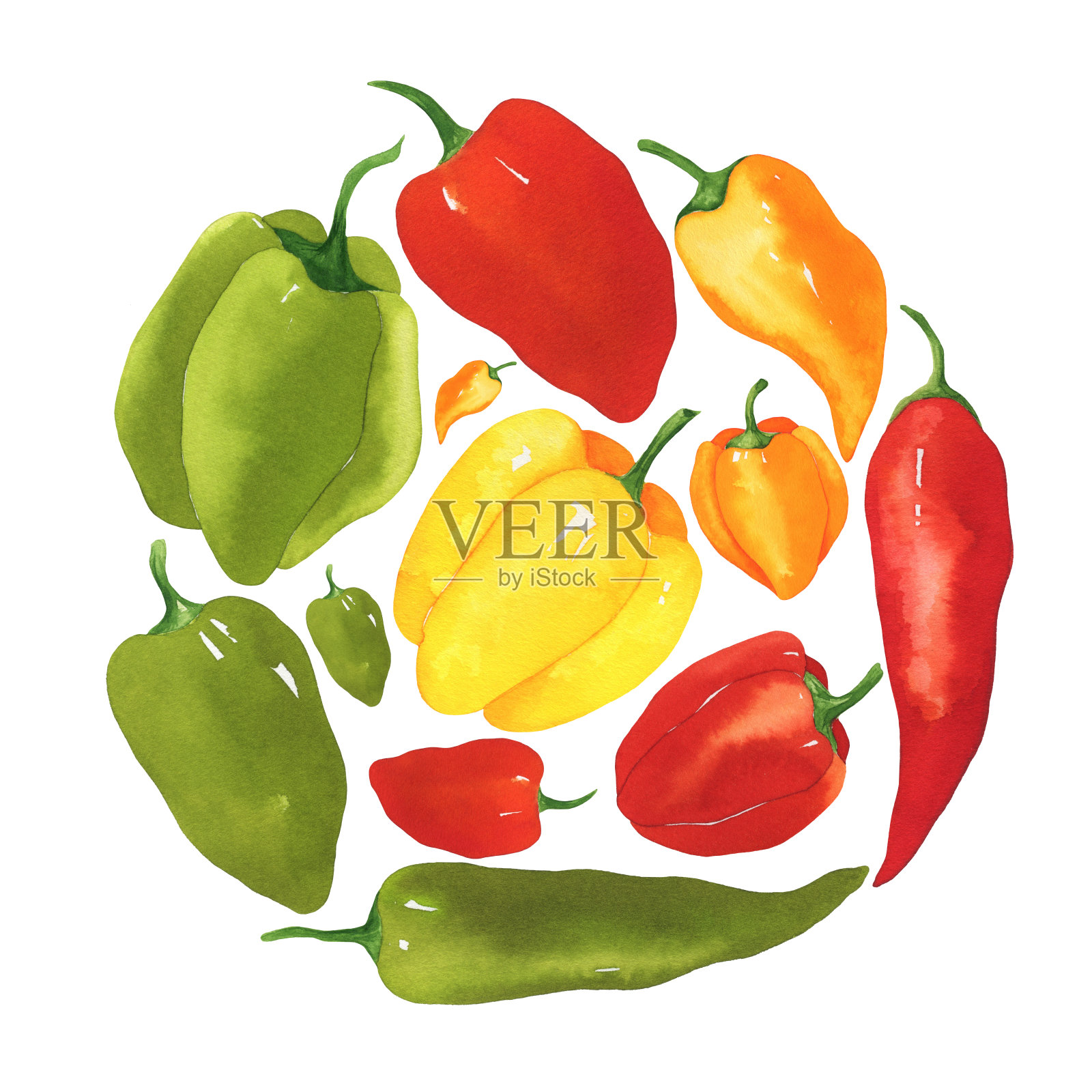 五颜六色的辣椒圆形插画图片素材