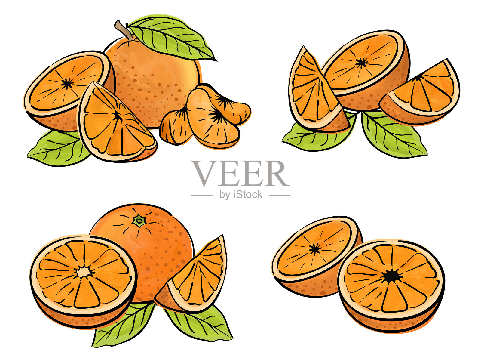 白色上孤立的橙色果实。不同类型的作品。设计元素图片