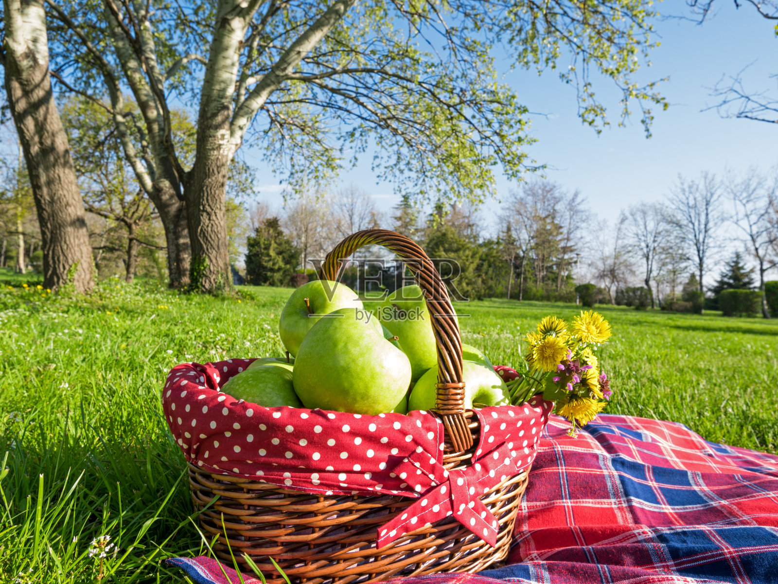 野餐篮子，苹果和毯子户外公园照片摄影图片