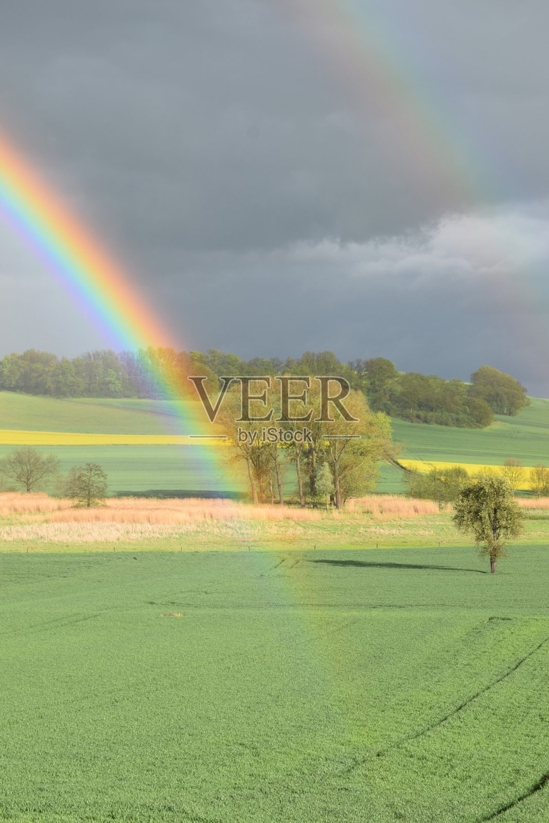 艾菲尔风景中的双彩虹照片摄影图片