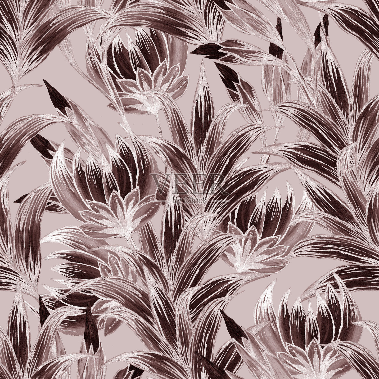 热带的花朵和叶子，白色和紫色的图画在灰色的背景插画图片素材