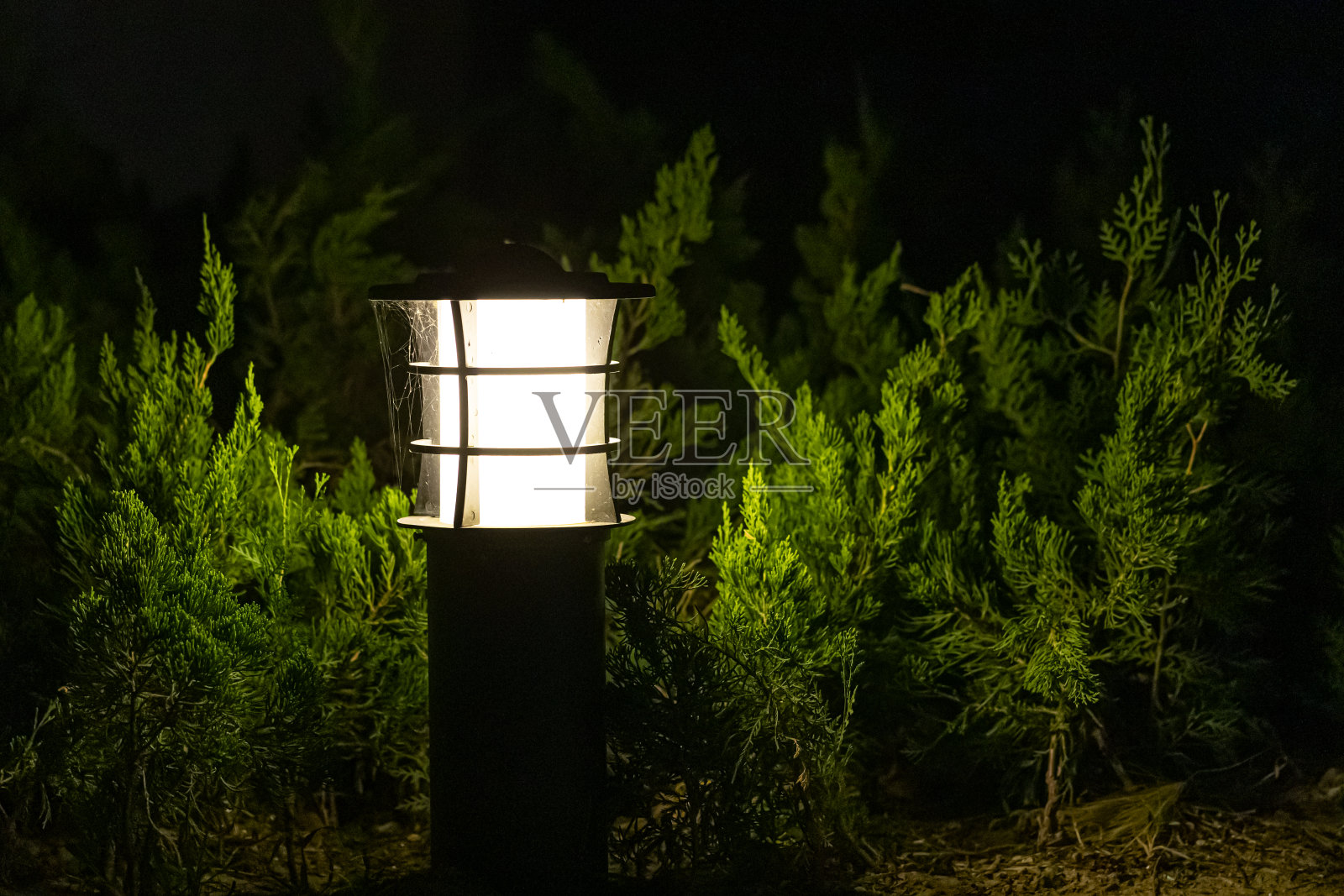 花坛的夜景与节能灯，室外灯(灯笼，护柱)照亮了花园的人行道在晚上照片摄影图片