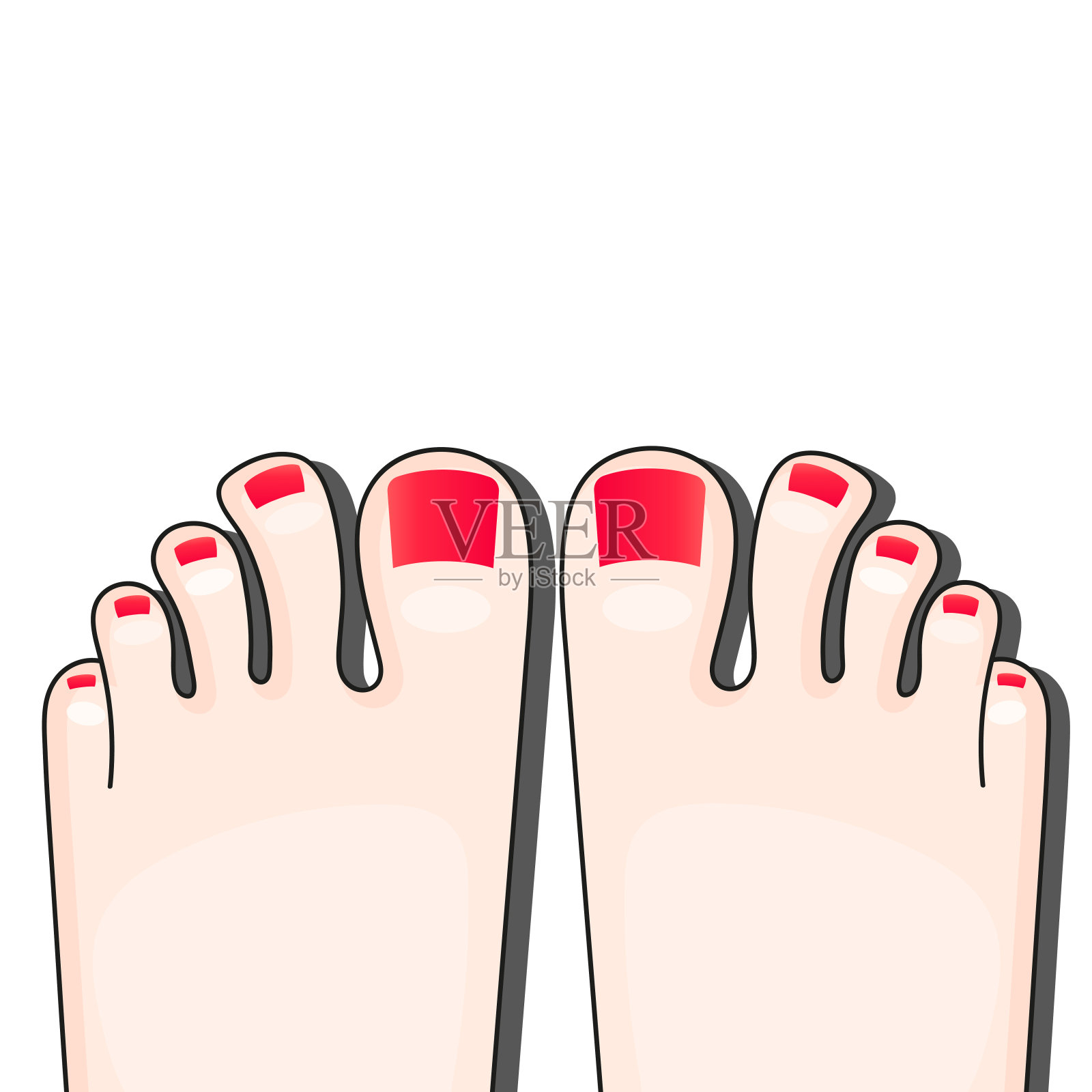 足疗女性手指矢量插图的女性脚孤立在白色的背景插画图片素材