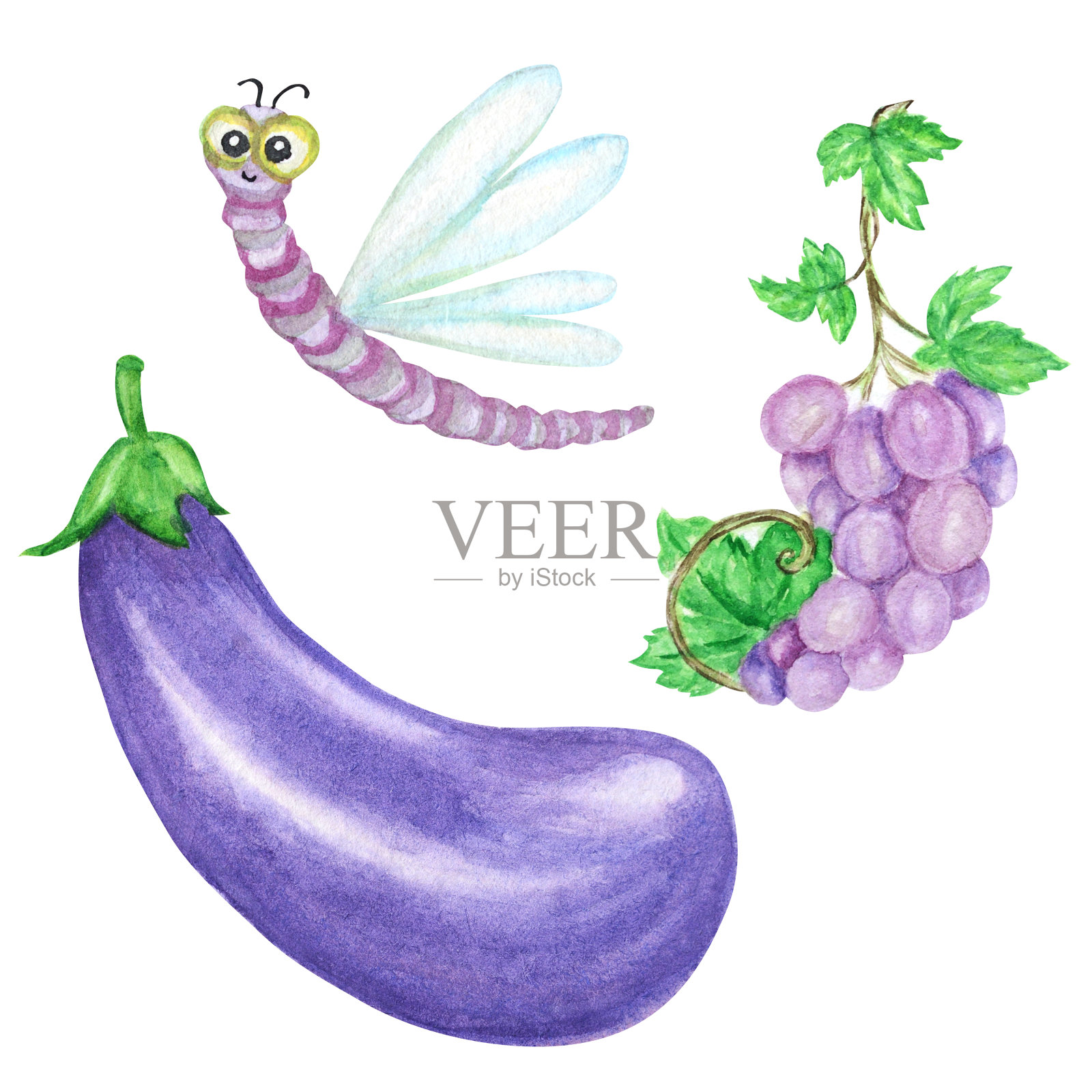 水彩画收集紫色蔬菜和蜻蜓昆虫。手绘新鲜素食食品设计元素孤立的白色背景。插画图片素材