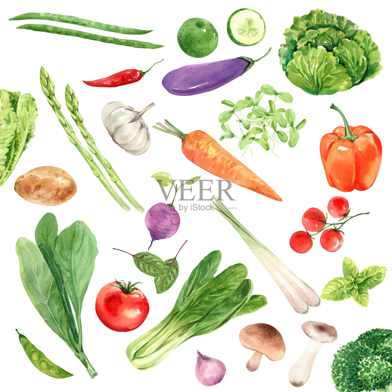 水果和蔬菜有益健康插画图片素材
