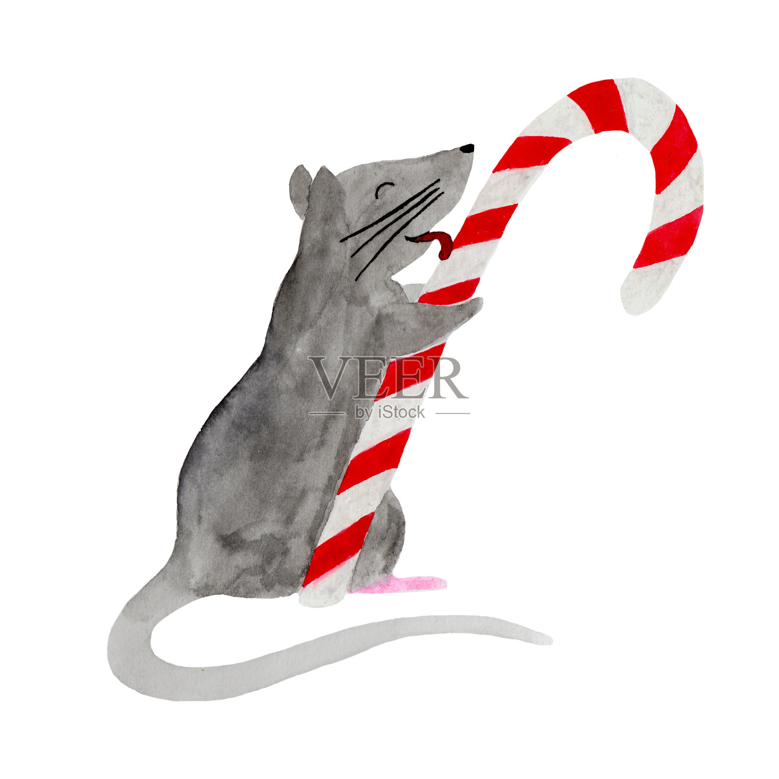 圣诞老鼠舔糖果手杖的水彩插图插画图片素材