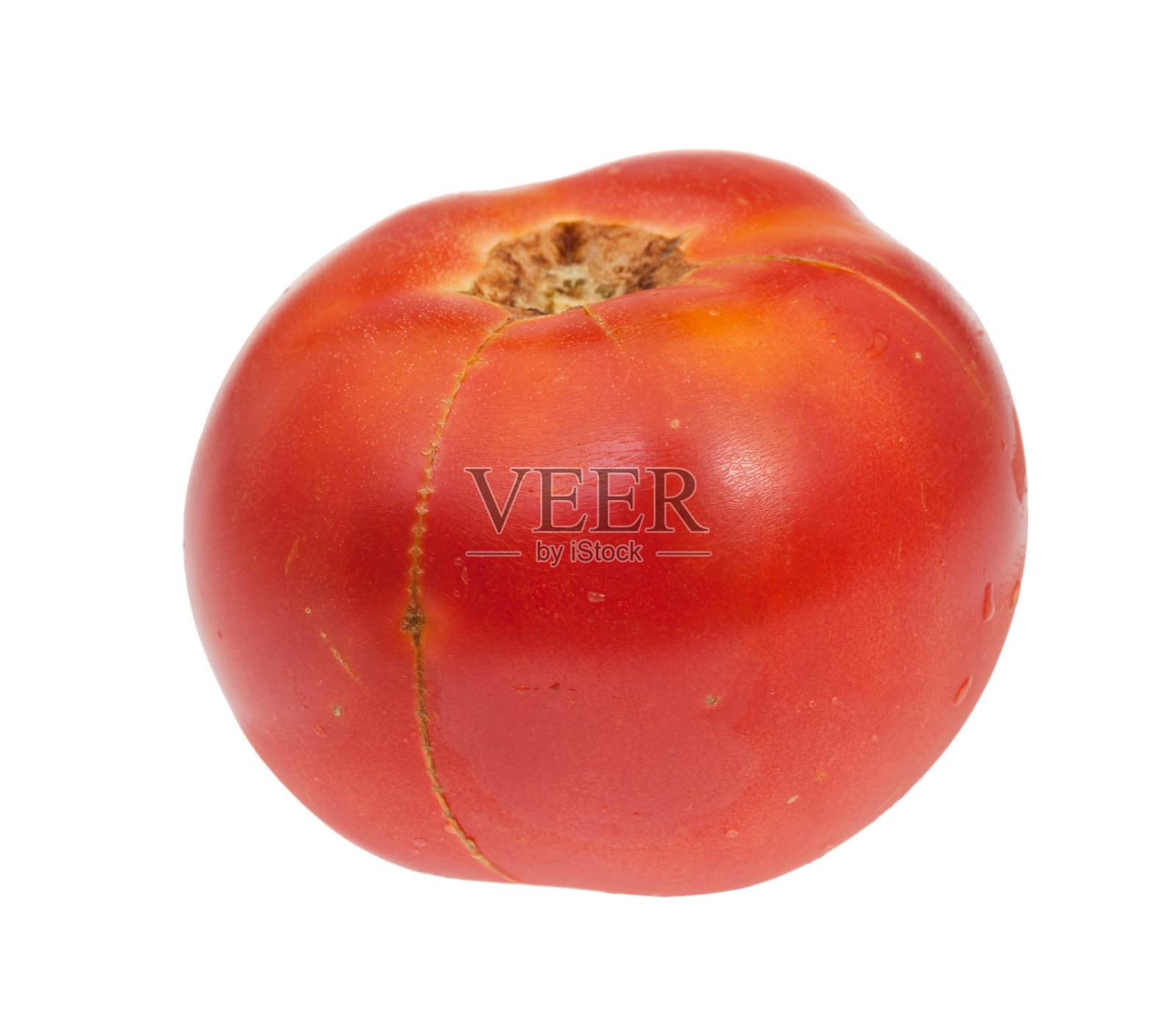 单个有机红番茄分离在白色上照片摄影图片