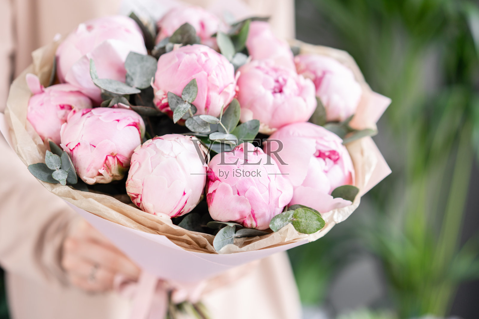 女人手里拿着粉红色的牡丹。美丽的牡丹花为目录或网上商店。花店概念。漂亮的新鲜花束。鲜花交付照片摄影图片