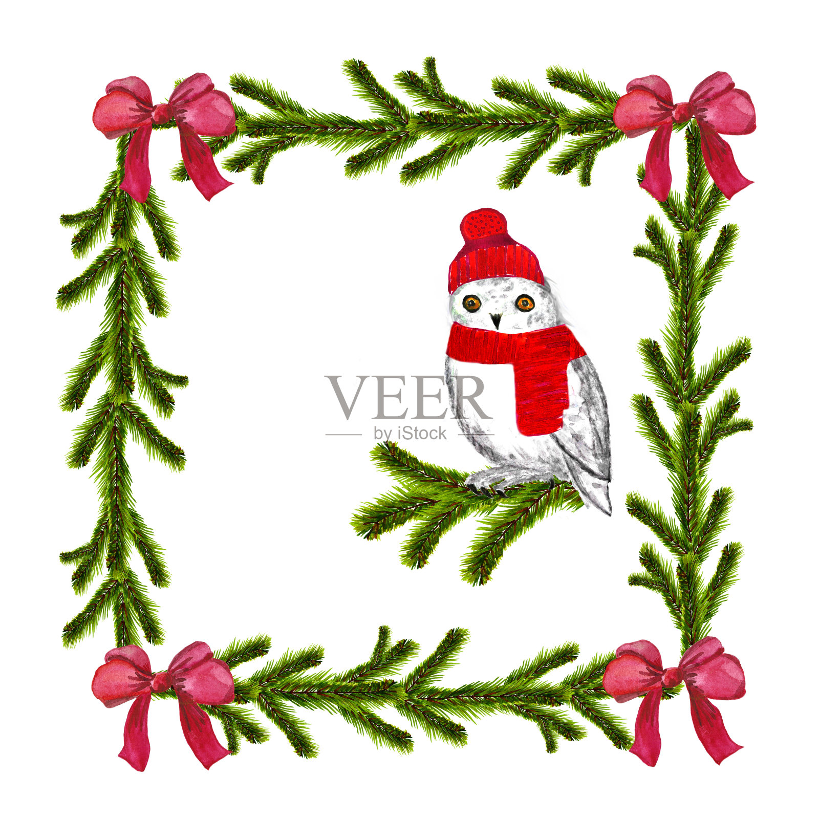 水彩圣诞冷杉树枝与红色的弓和白色猫头鹰为树枝和文字的地方。在白色背景上的贺卡和请柬插图。插画图片素材
