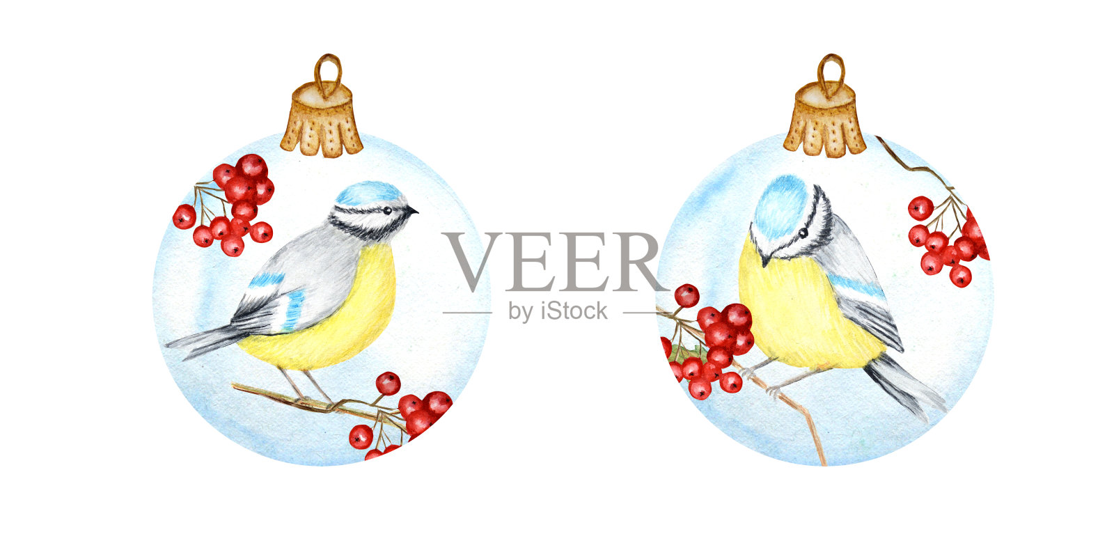 水彩圣诞玻璃球套装，红色花楸枝，冬鸟蓝色山雀。贺卡设计模板与山雀。复古风格。新年概念孤立在一个白色的背景设计元素图片
