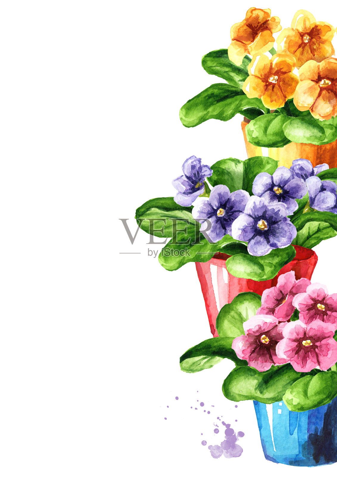 鲜艳的盆花。室内，家庭，室内植物。水彩手绘插图孤立的白色背景插画图片素材