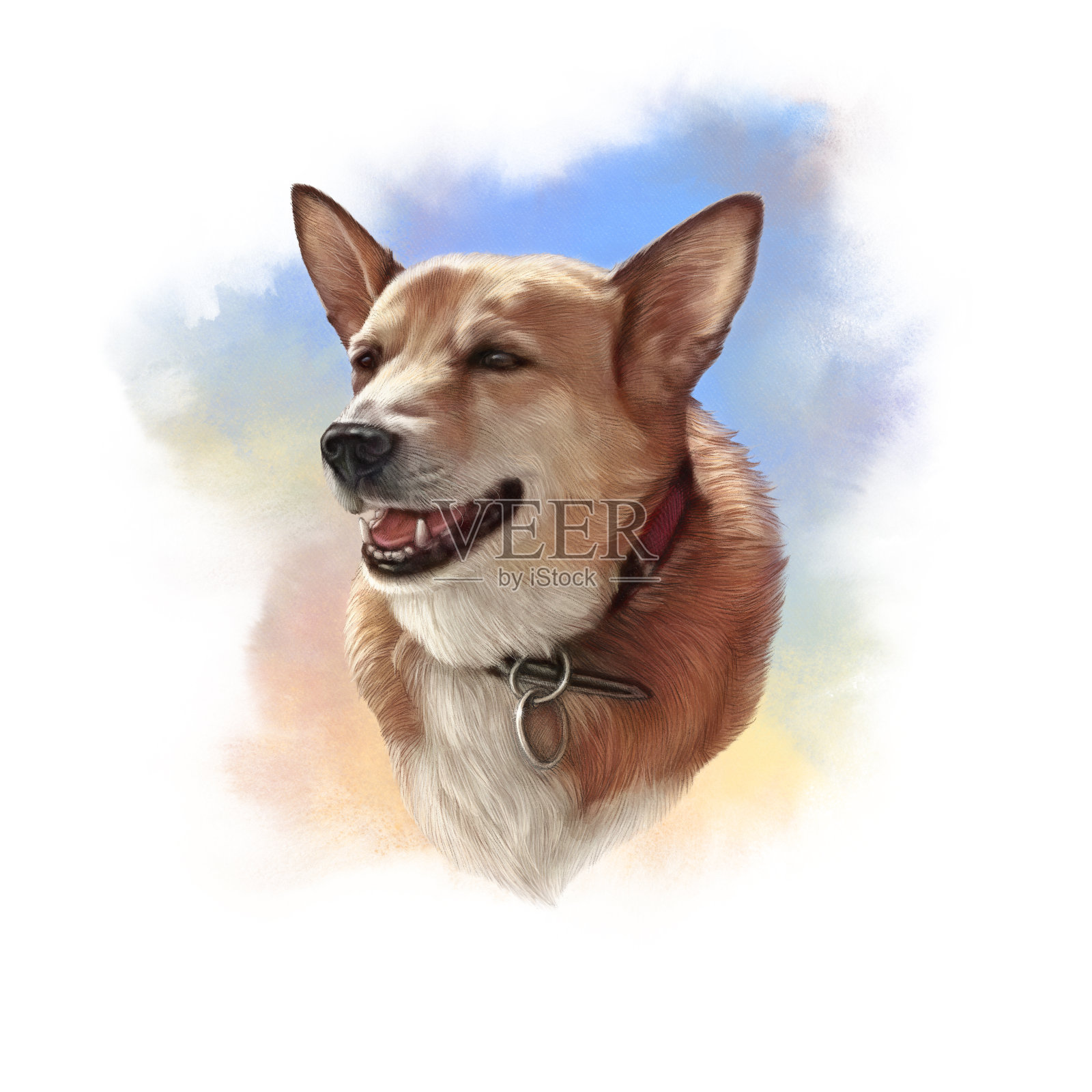 一只红色的狗的肖像设计元素图片