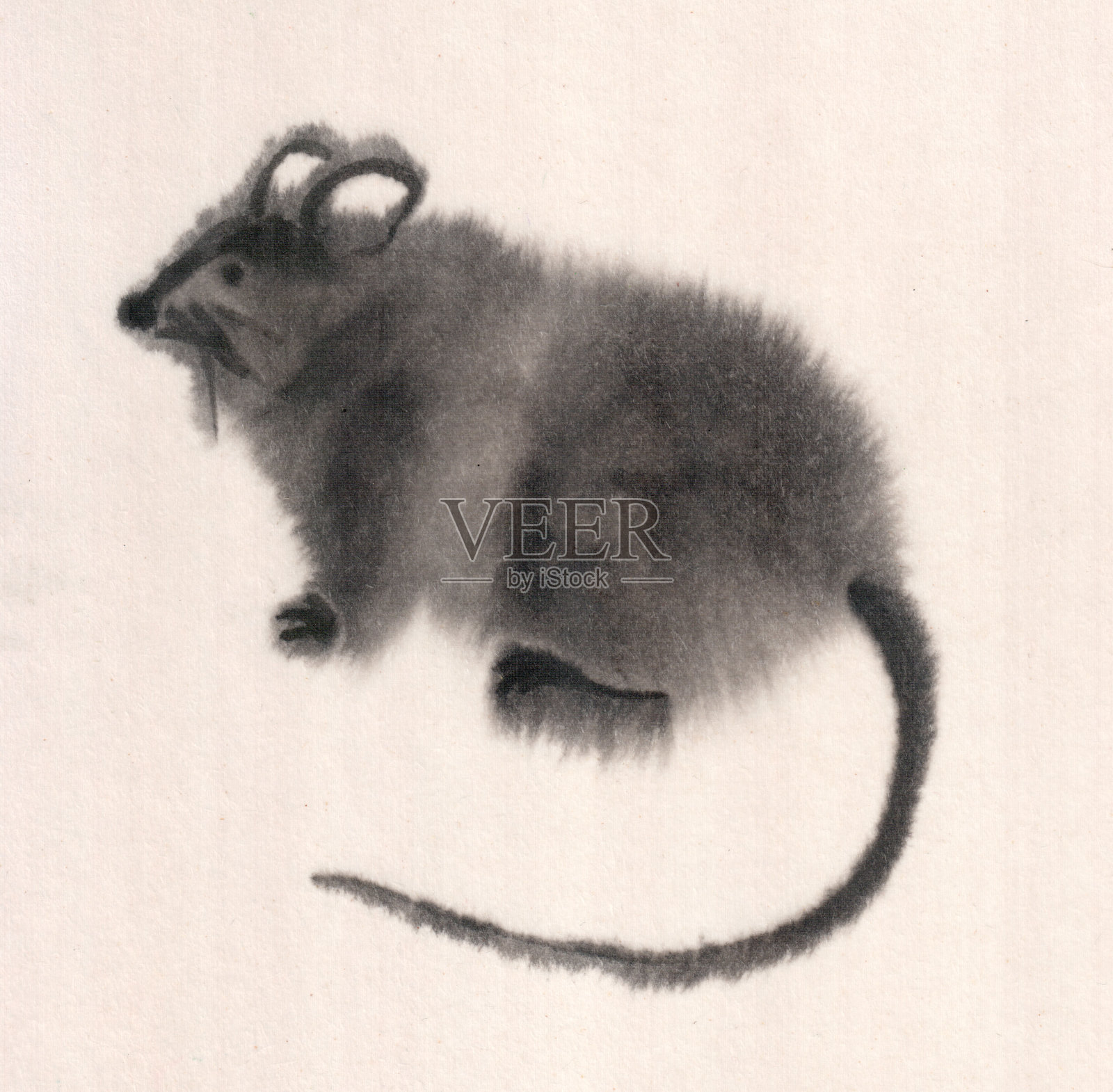 老鼠，大鼠，黑白墨画的形象。老鼠是2020年的象征。东方，中国，日本风格。墨水的图形。设计元素图片