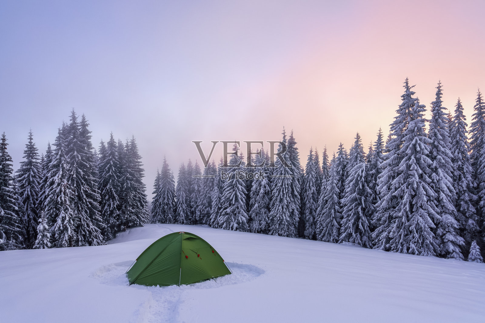 雄伟的冬季景色。美妙的日出。在覆盖着雪的草坪上，美丽的树木站着，在霜冻的日子里雪花倾泻。下雪的森林。壁纸背景。照片摄影图片