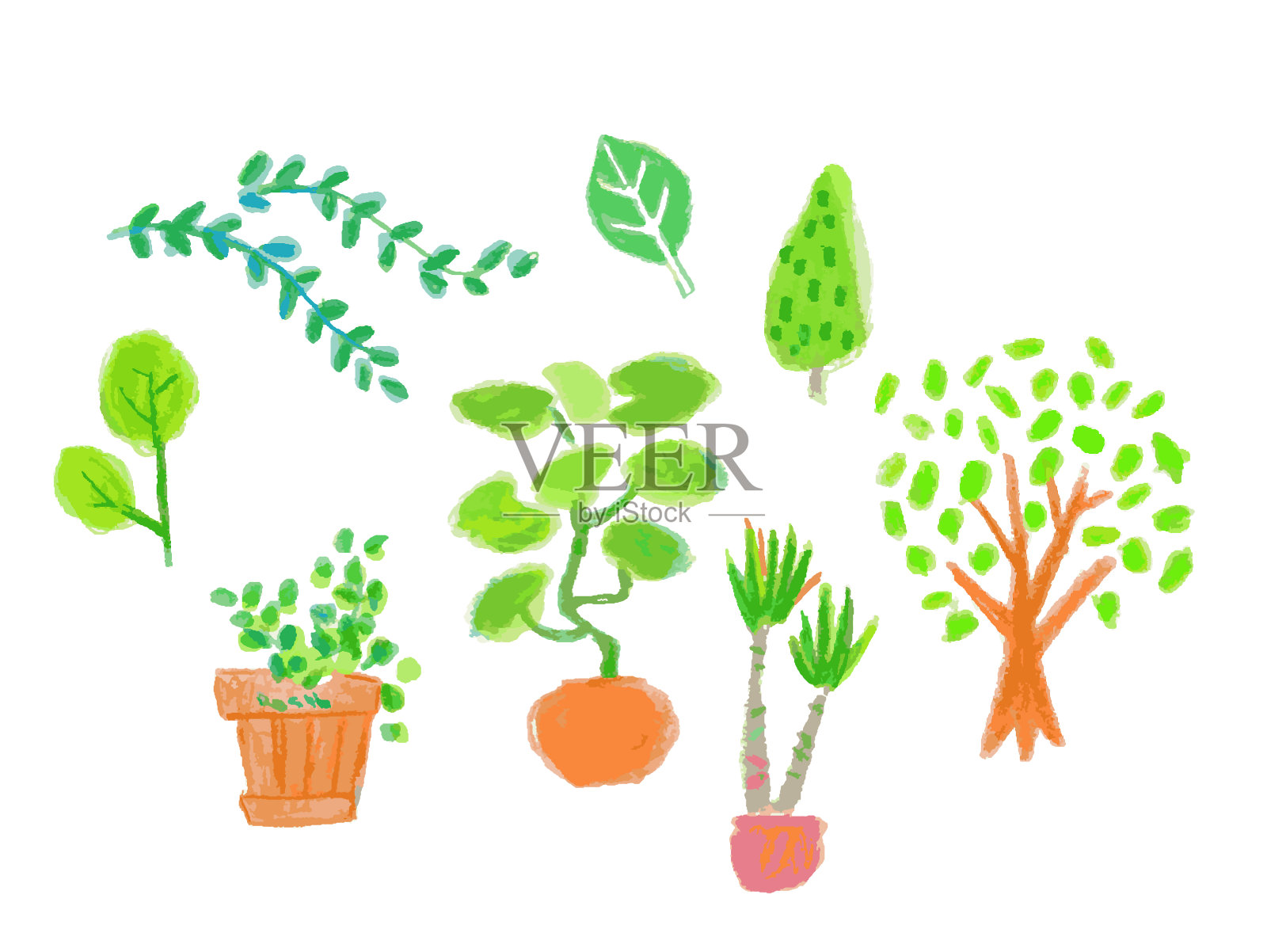 各种形状的室内植物插画图片素材