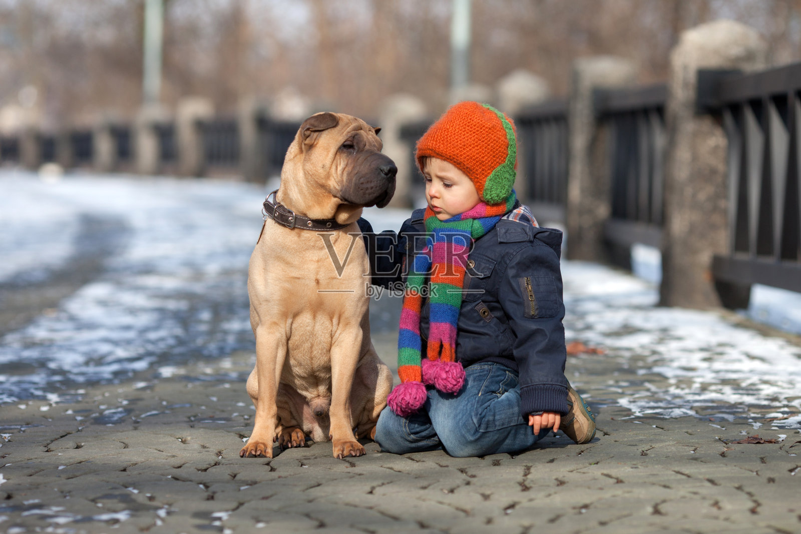 小男孩和他的狗朋友在公园里照片摄影图片