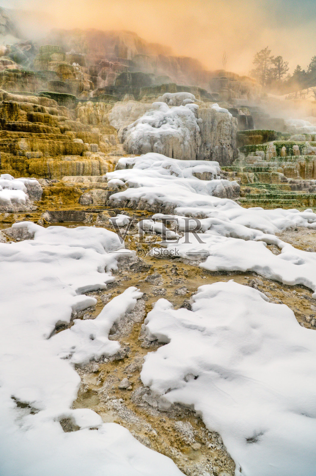 美国黄石国家公园的金丝雀温泉和猛犸温泉的梯田在冬天。照片摄影图片