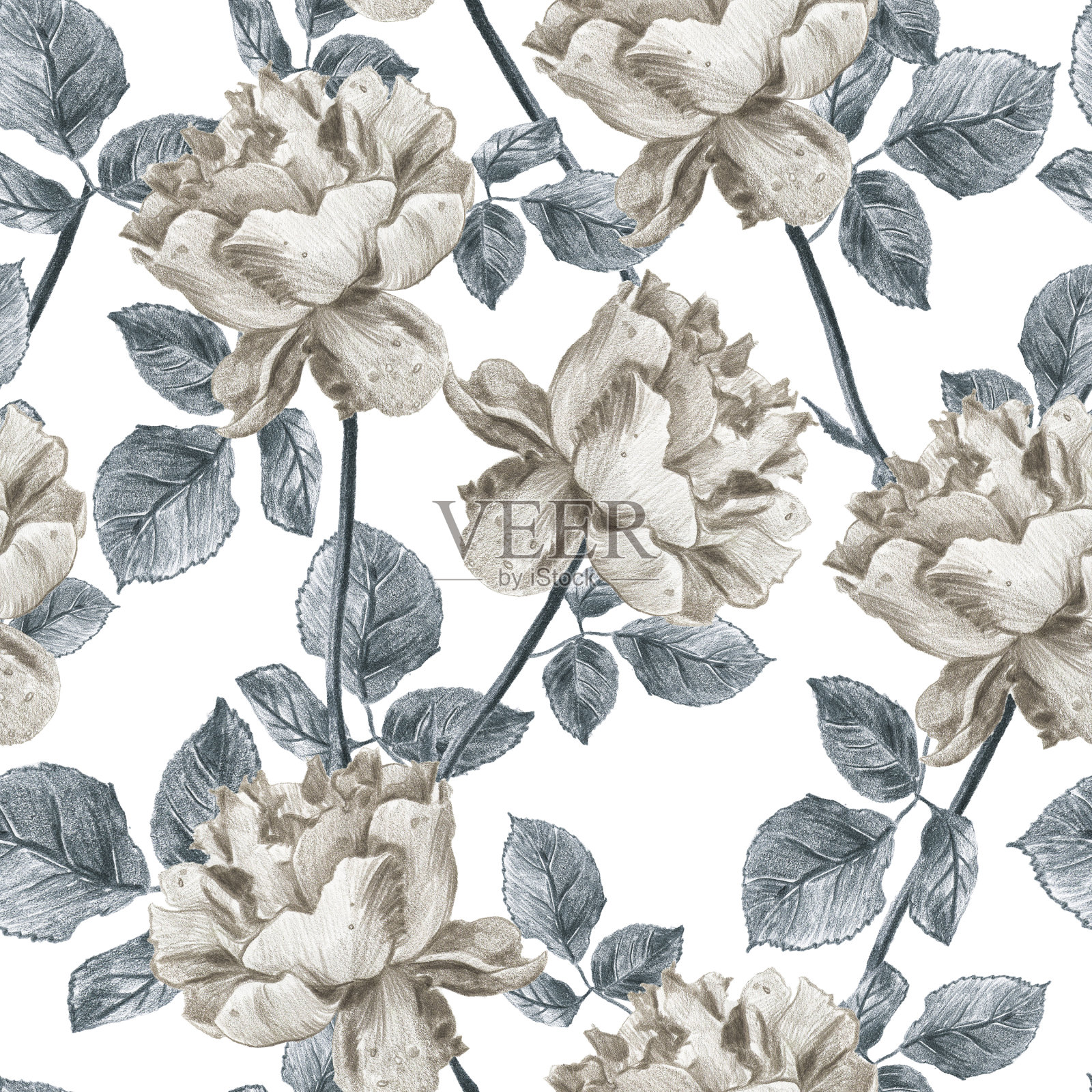 古董花卉无缝模式与手绘花园玫瑰。优雅的灰色和深褐色的设计与树叶和花在白色的背景插画图片素材
