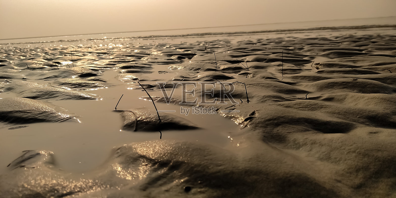 潮湿的海滩沙景观与日落的背景照片摄影图片