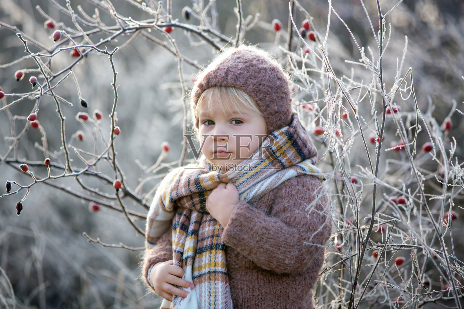 美丽的蹒跚学步的小男孩，穿着针织服装，戴着帽子和围巾，在霜冻的清晨森林里玩耍照片摄影图片