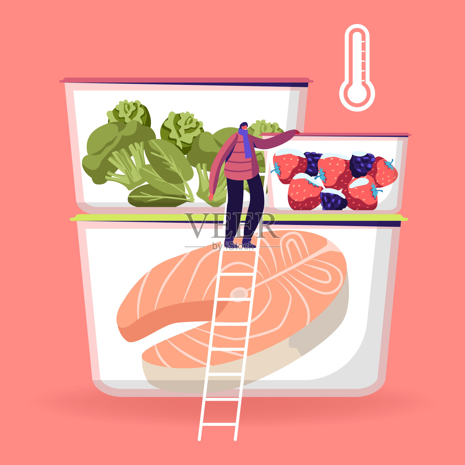 小小的男性角色穿着冬天的衣服和围巾站在梯子附近的冰箱容器不同的冷冻食品，新鲜的浆果，蔬菜和鱼卡通平面矢量插图插画图片素材