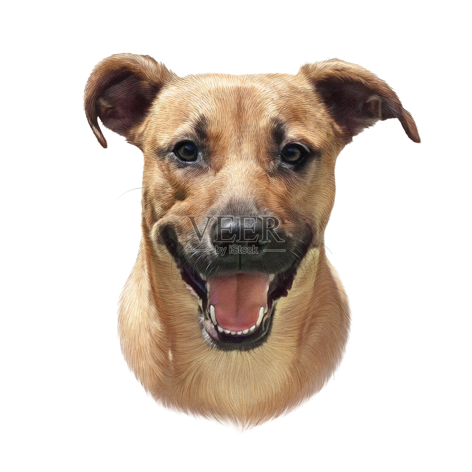 可爱的狗带着友好的微笑。斗牛犬犬设计元素图片
