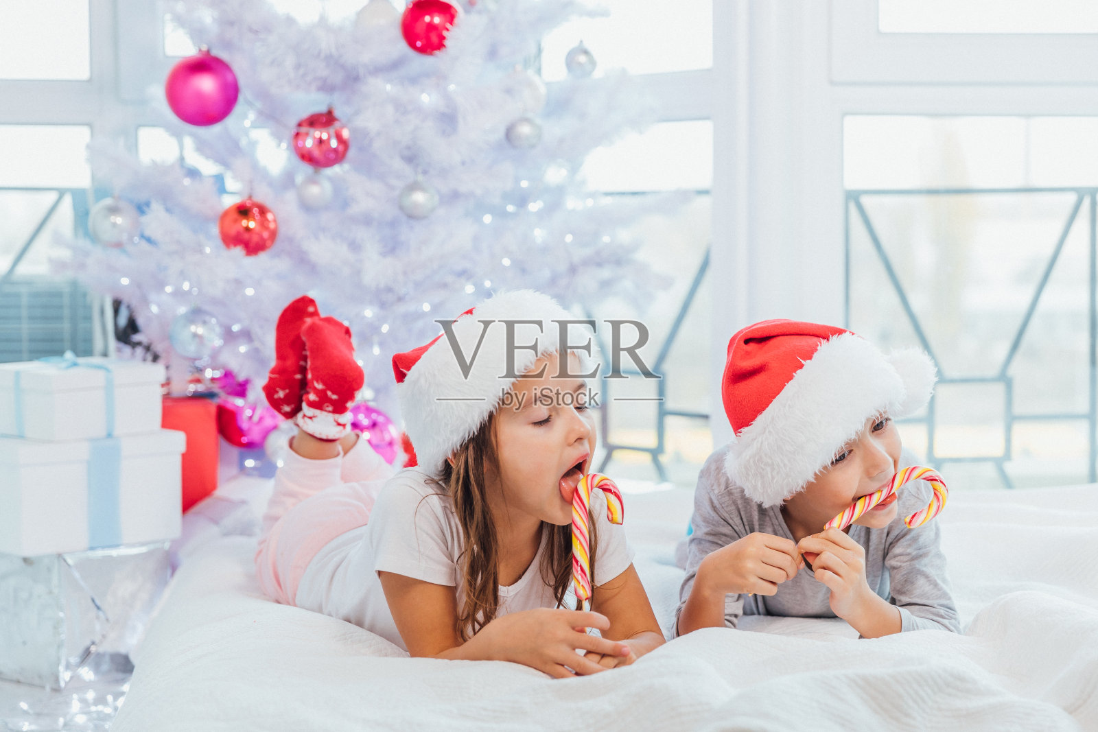 可爱的弟弟妹妹穿着睡衣在冬天的早晨舔着圣诞糖果。照片摄影图片