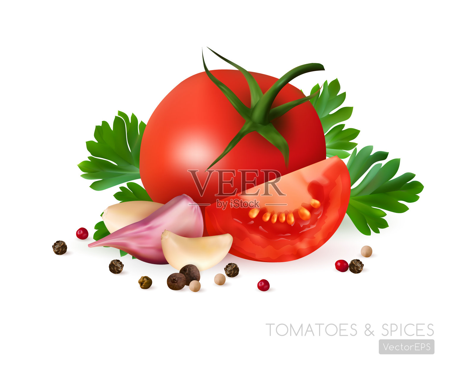 番茄配辣椒，大蒜和欧芹叶。现实的矢量图。特写生蔬菜和香料孤立在白色的背景。食物静物收藏。插画图片素材