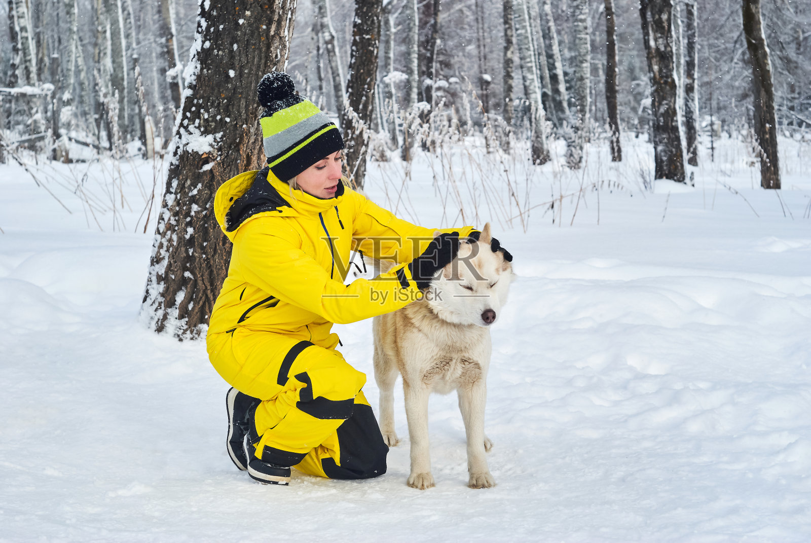 一个女人在冬天的森林里抚摸着一只哈士奇狗照片摄影图片