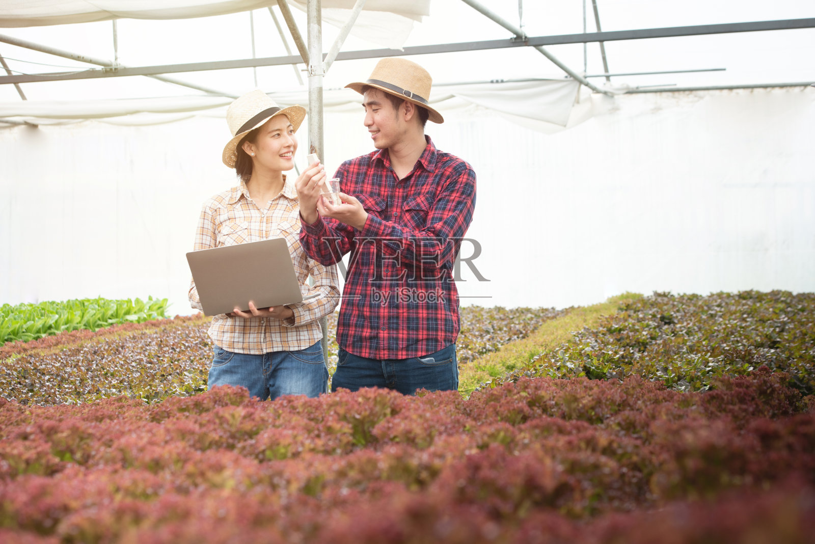 亚洲夫妇园丁测试土壤和水在温室有机生菜蔬菜在农场。照片摄影图片