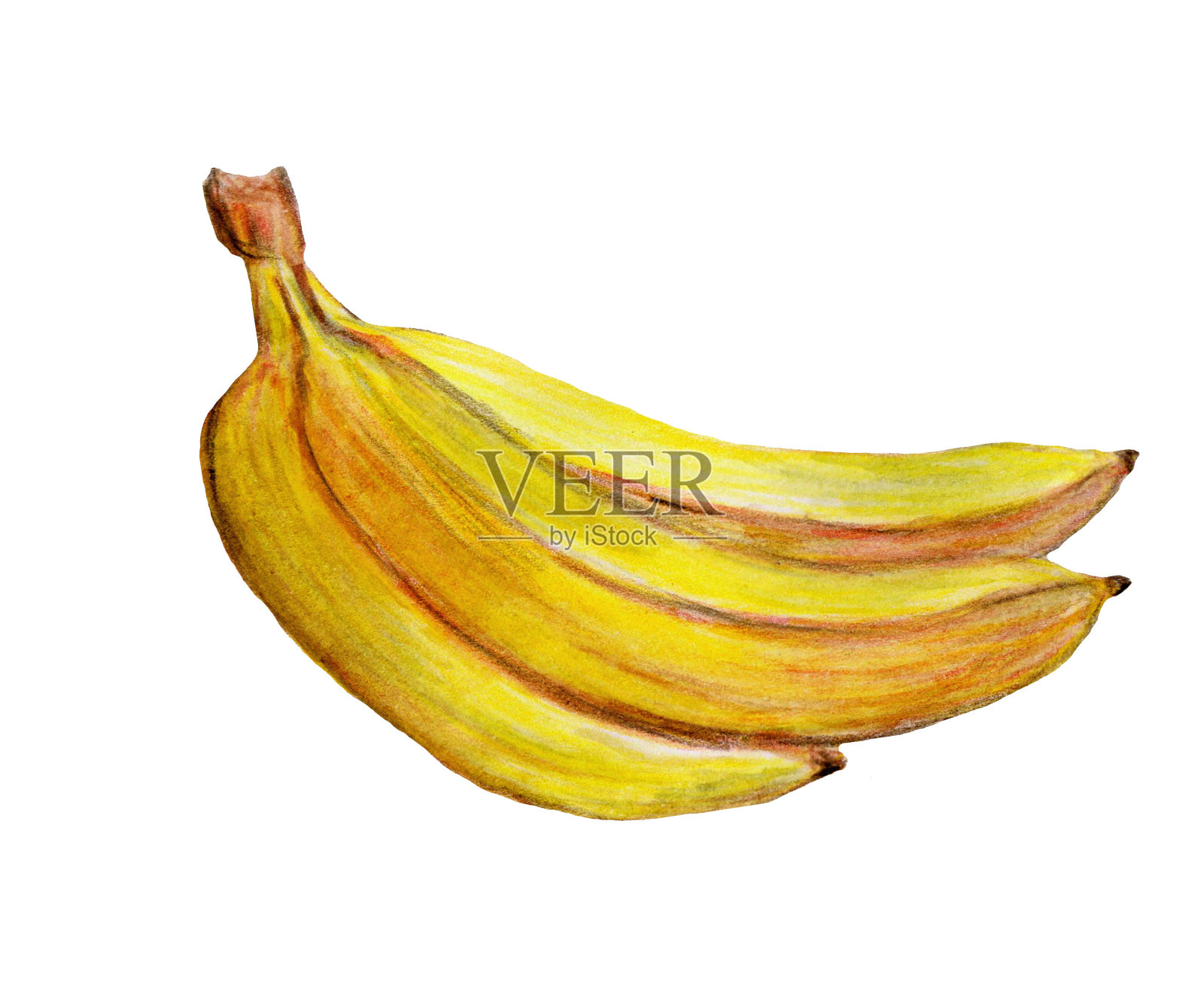 香蕉，热带水果，水彩插图孤立在白色背景插画图片素材