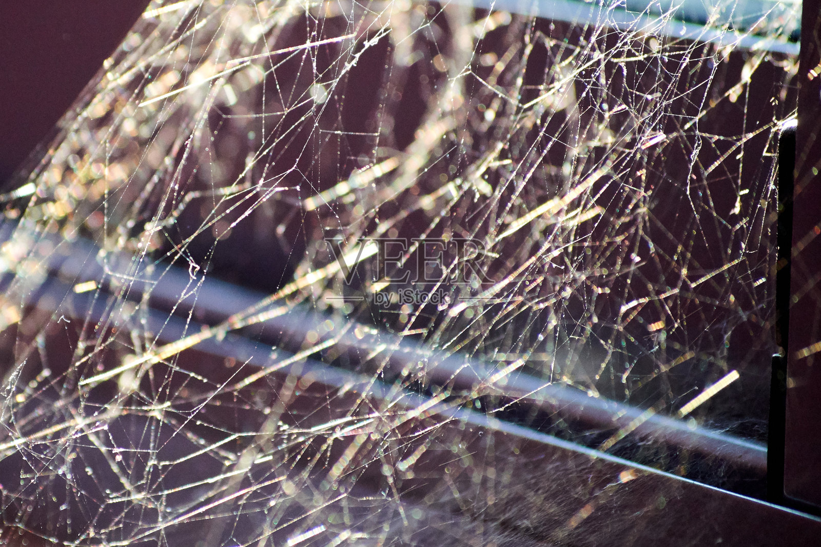 阳光下的蜘蛛网在一所废弃的房子的窗户角落里伸展开来。极度的恐惧照片摄影图片