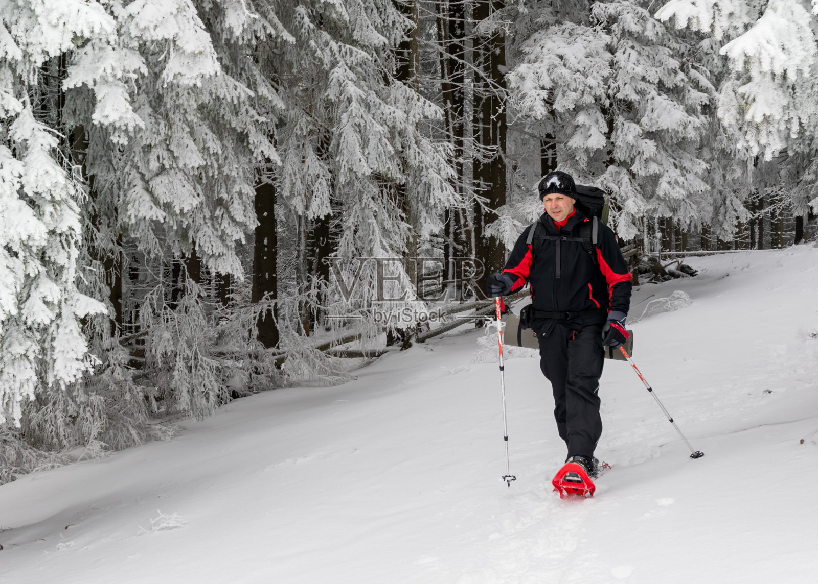 在冬季森林里徒步旅行的人照片摄影图片