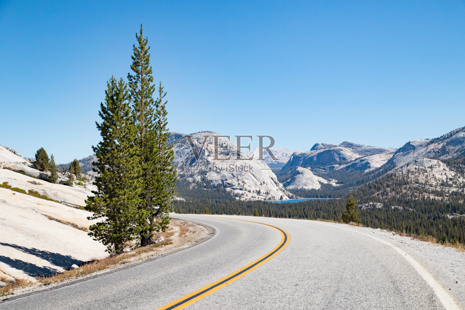 美国加利福尼亚州约塞米蒂国家公园的空旷道路照片摄影图片