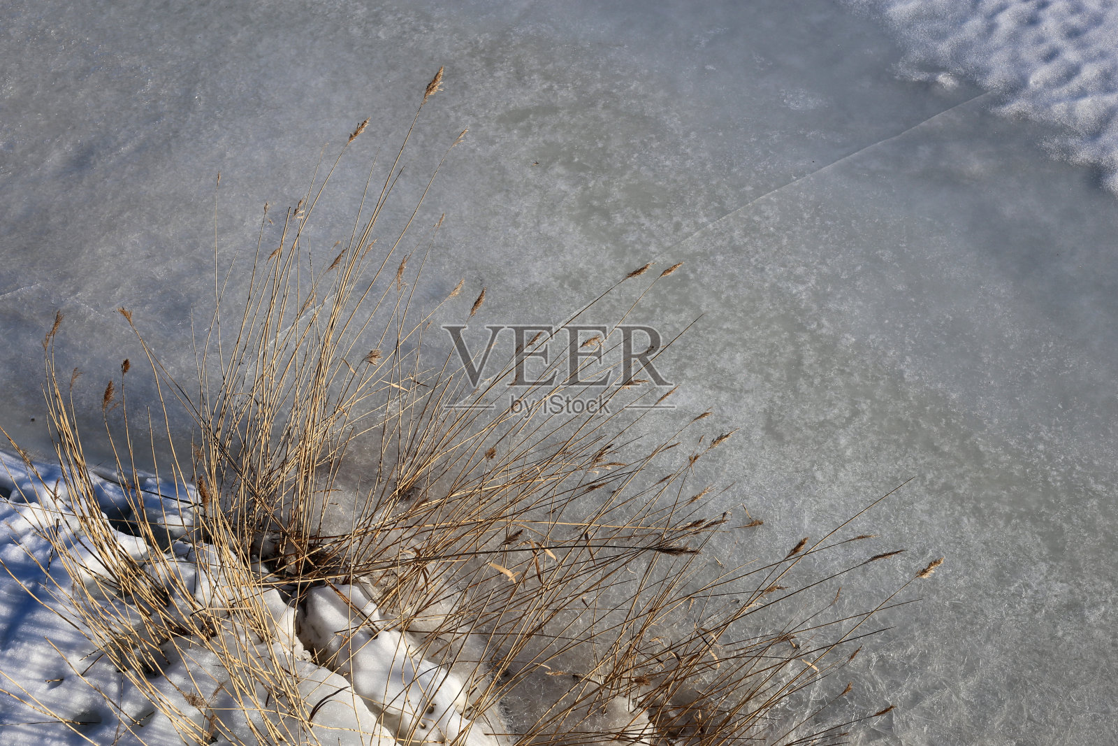 芬兰冬季结冰的小河、草本植物和雪地照片摄影图片